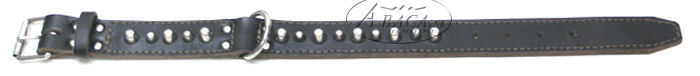 image:halsband dubbelgestikt, met chroombeslag